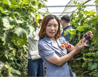 2022广西全州县枧塘葡萄现代特色农业促进乡村经济发展